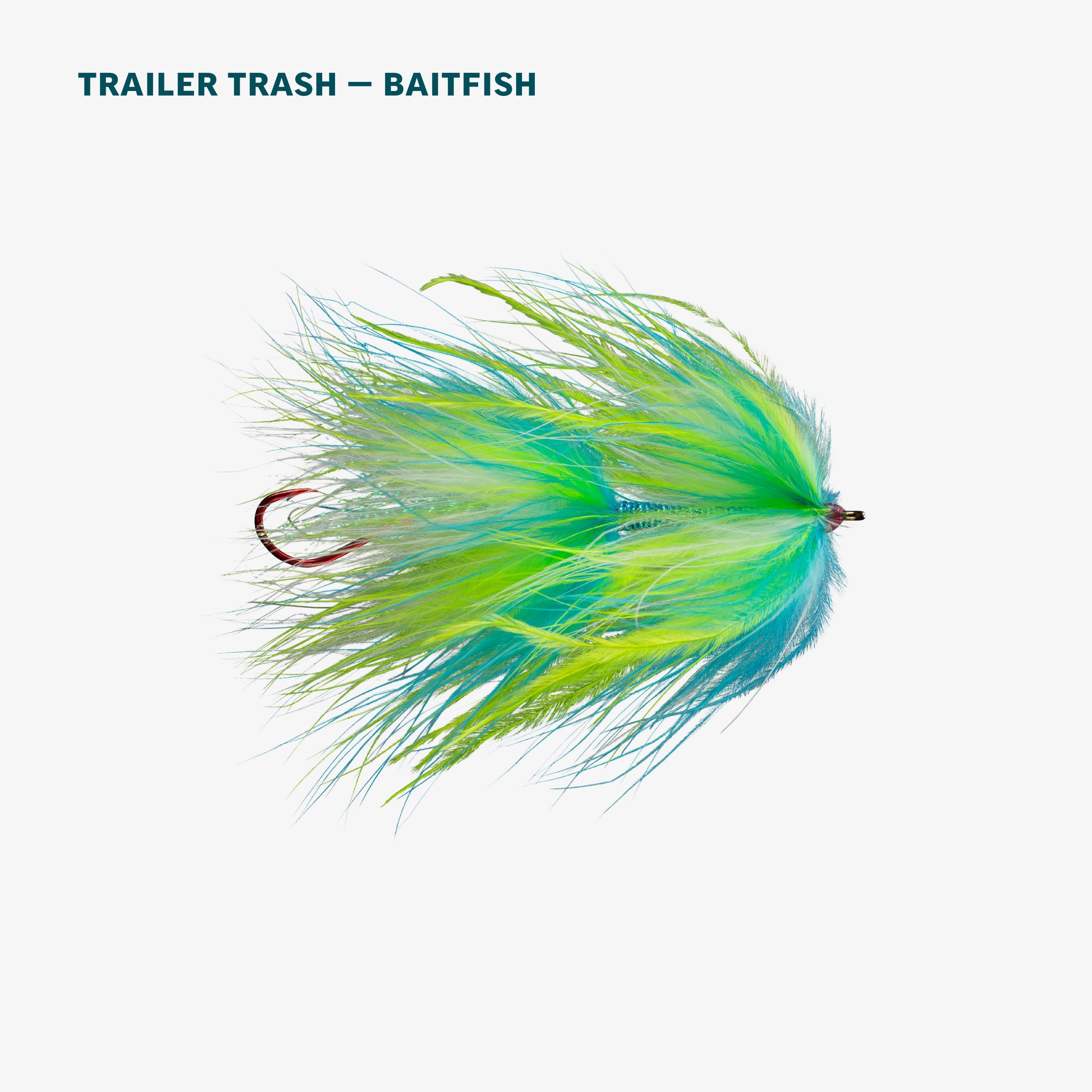 Alaska Salmon Assortment