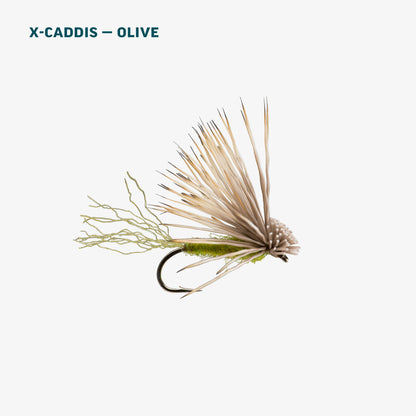 Olive Caddis Dry Assortment
