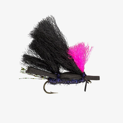 Chubby Chernobyl Cricket 