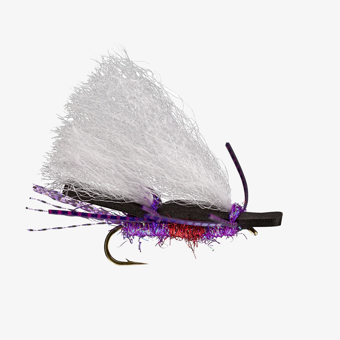 Chubby Chernobyl Royal-Purple 