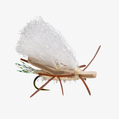 Chubby Chernobyl Tan 