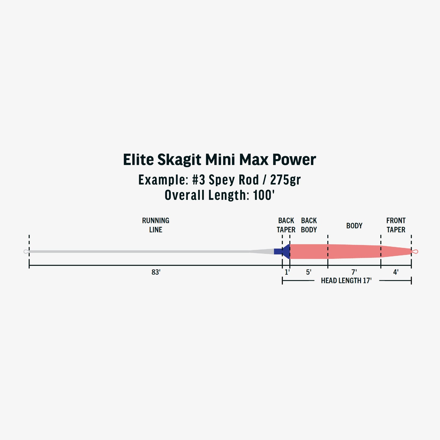 Elite Integrated Skagit Mini Max Power