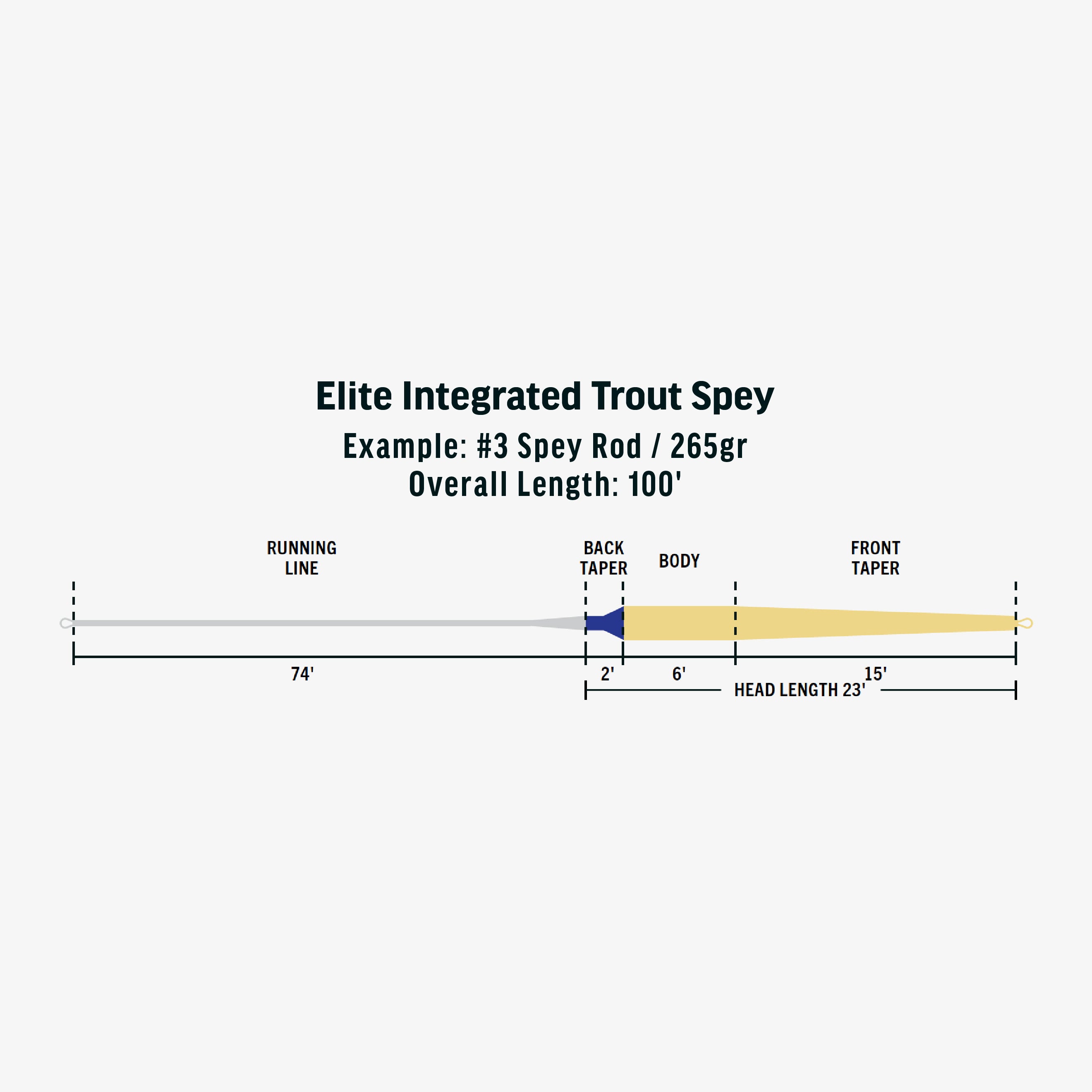 Elite Integrated Trout Spey Fly Line RIO Products