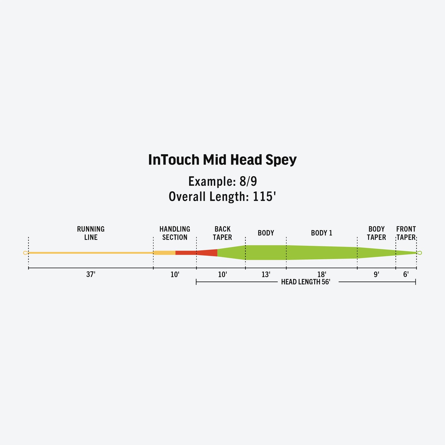 InTouch Mid Head Spey