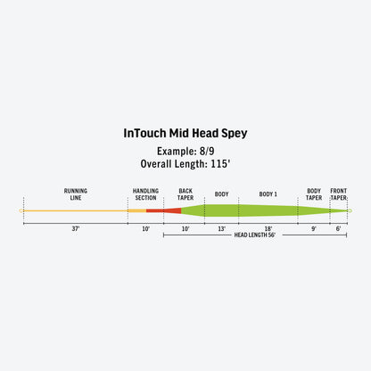 InTouch Mid Head Spey