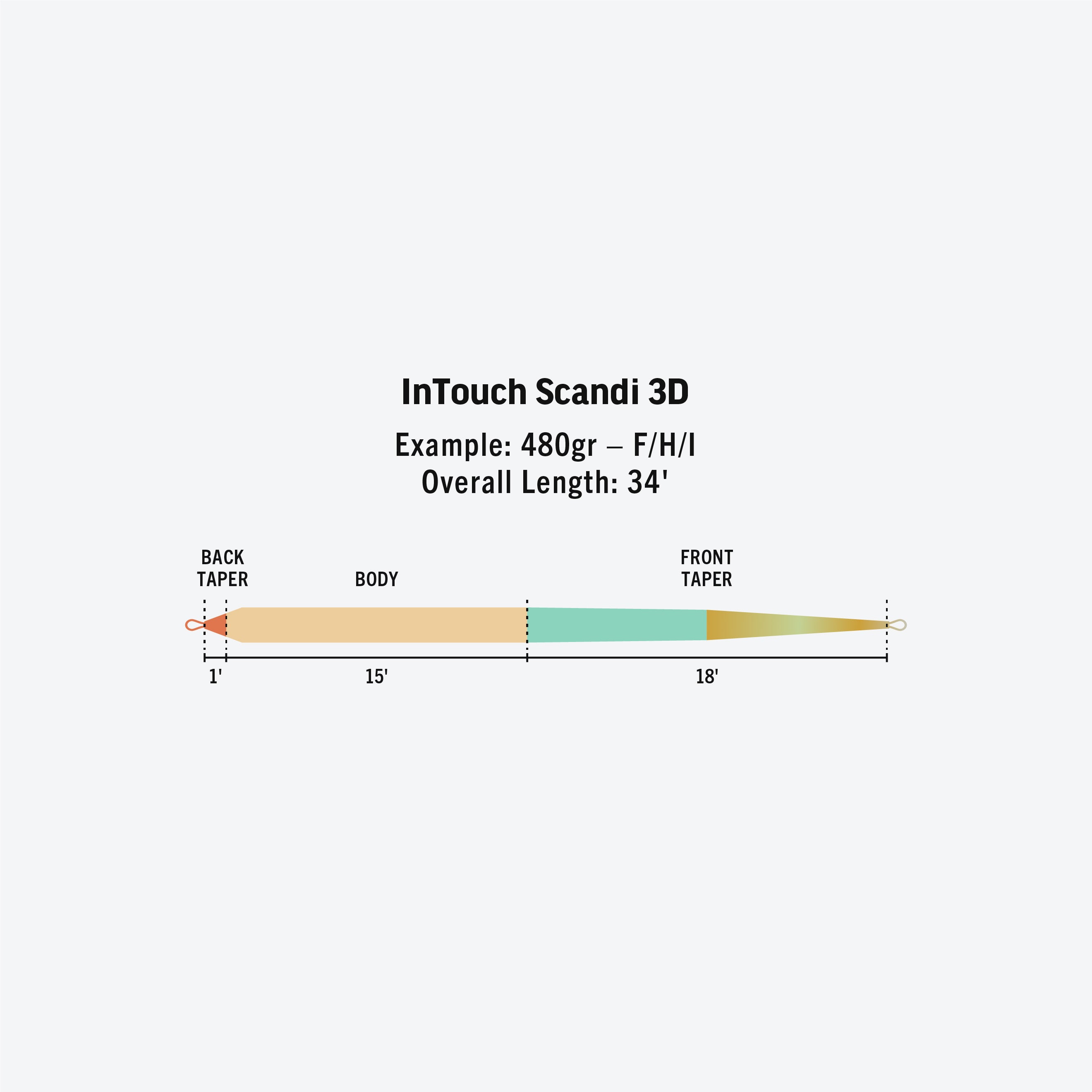 InTouch Scandi 3D Fly Line | RIO Products