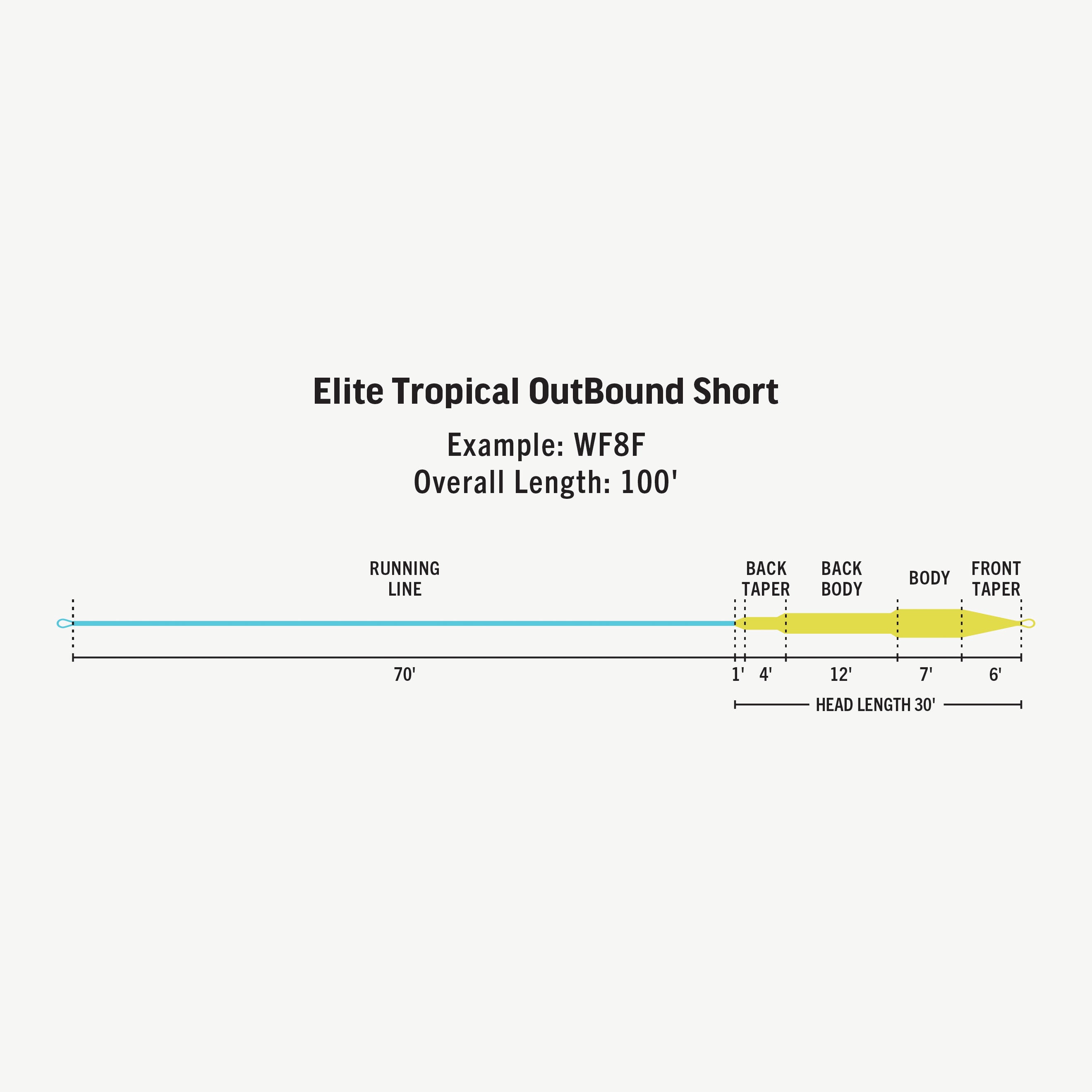 Elite Tropical Outbound Short Fly Line | RIO Products