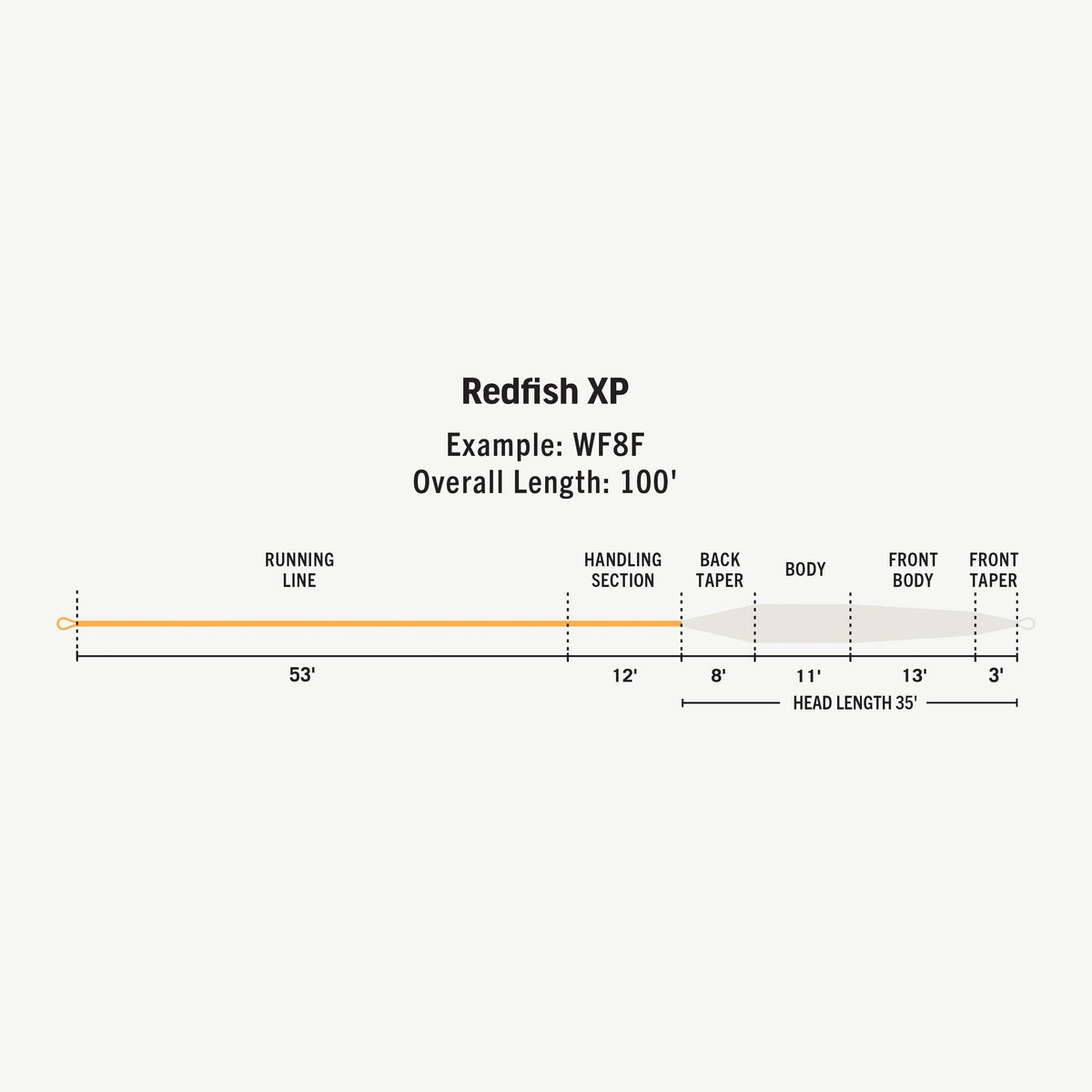 Redfish XP Fly Line | RIO Products