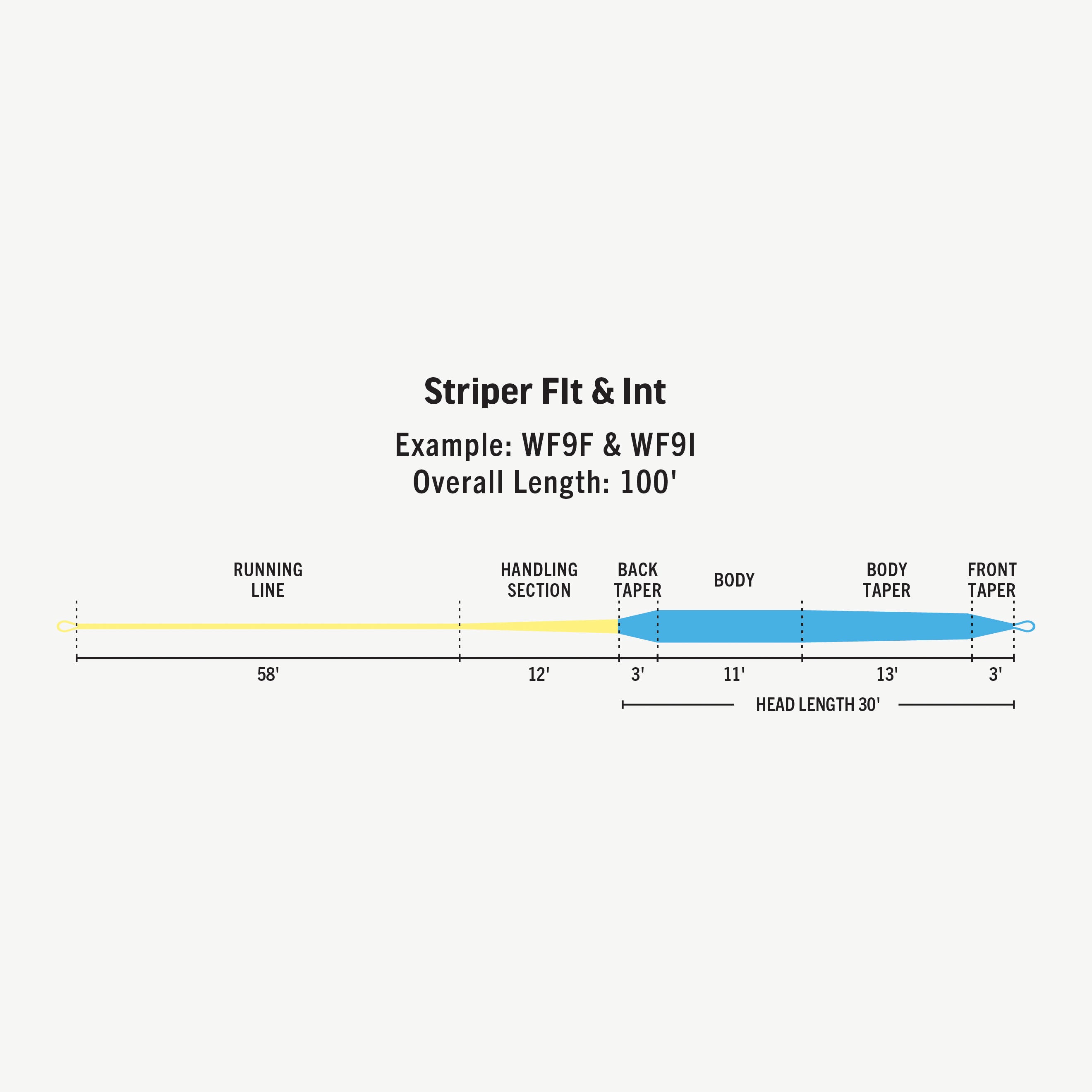 【Rio】プライムイングリッシュ Premier AquaLux Fly Line | RIO Products