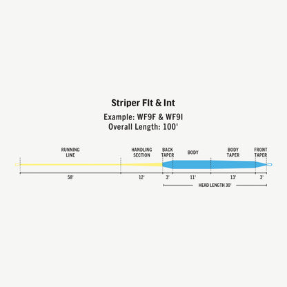 Premier Striper Fly Line