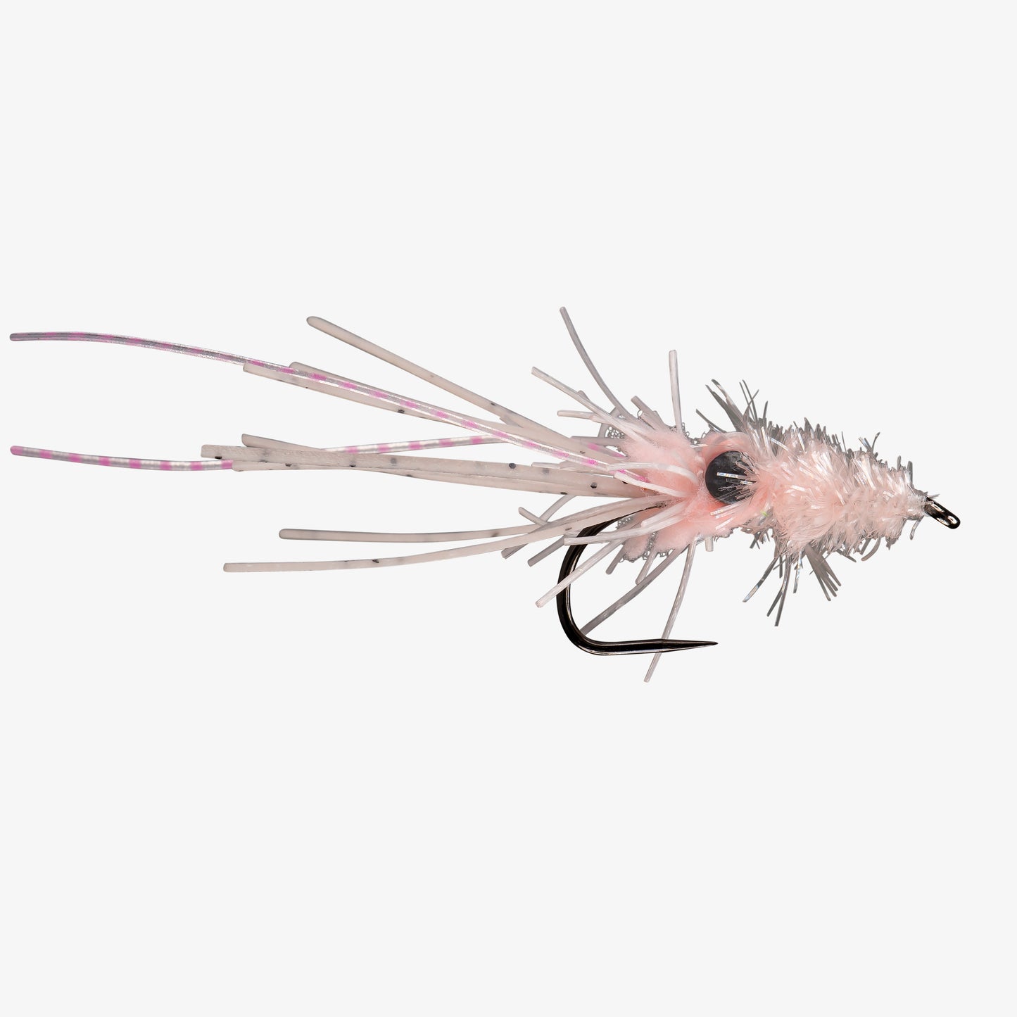 RIO's Diary of a Shrimpy Squid