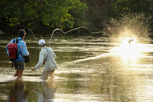 Dhala & Samaki Camps - Tigerfish