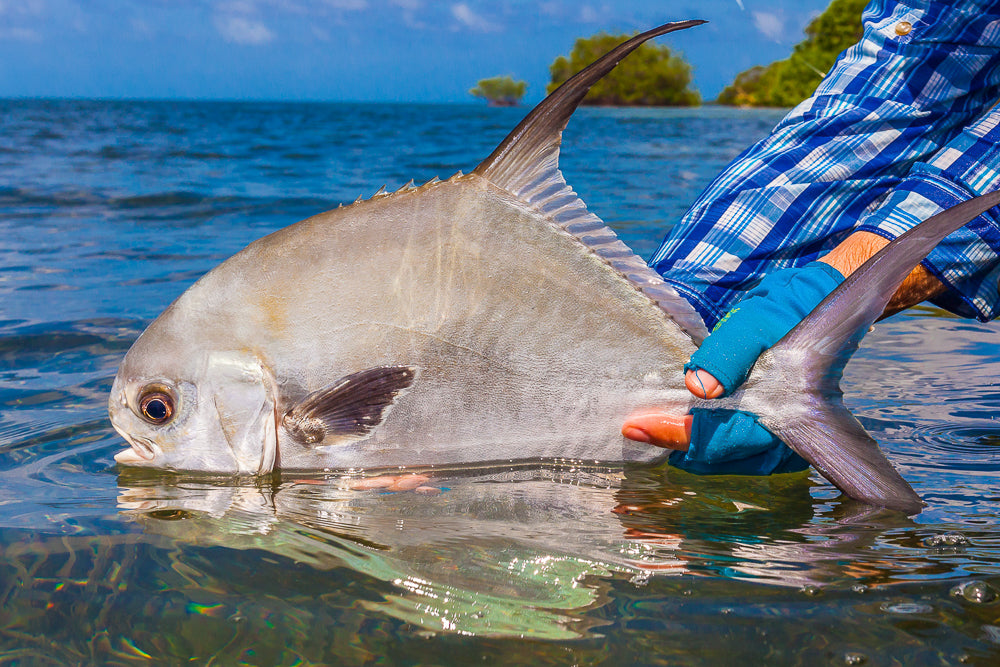 Bulize Target Premium Online Fly Fishing Store | Ole Florida Fly Shop