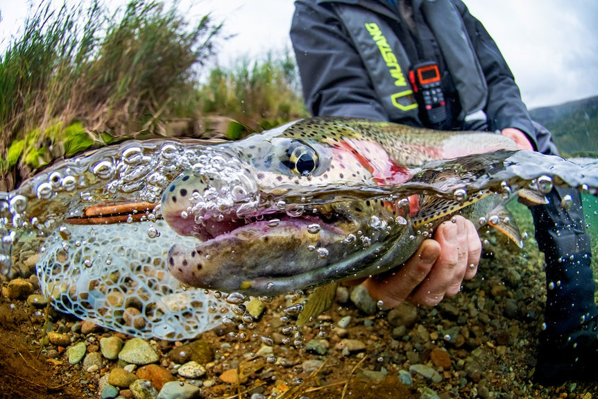 Alaska Rainbow Lodge