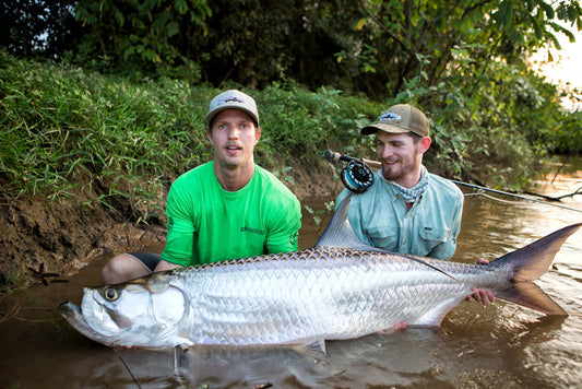 Jungle Tarpon Reserve