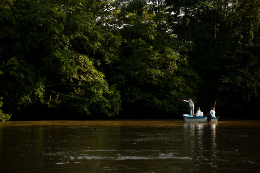 Jungle Tarpon Reserve